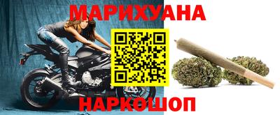 дмт Ставрополь