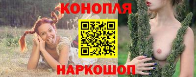 дмт Ставрополь