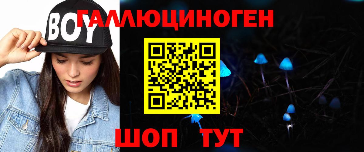 Галлюциногенные грибы Psilocybe  Вход с VPN  Псков 